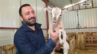 Hayvan severlerin yeni gözdesi