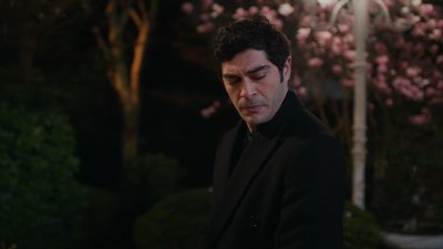 Bir Gece Masalı