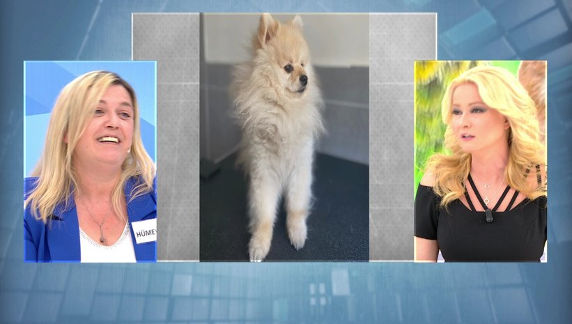 muge-anli-ile-tatli-sert