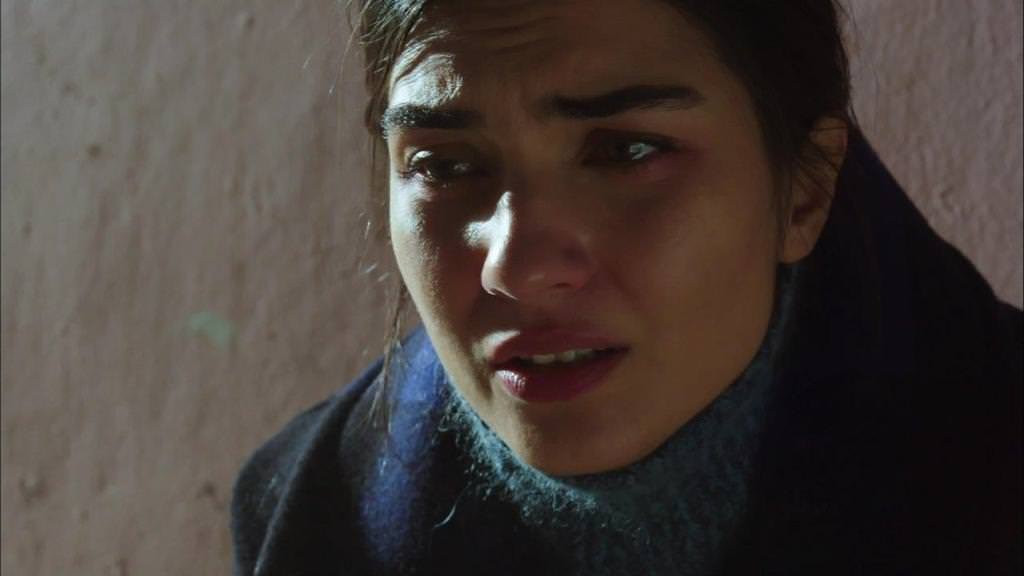 Bugüne kadar neler oldu?