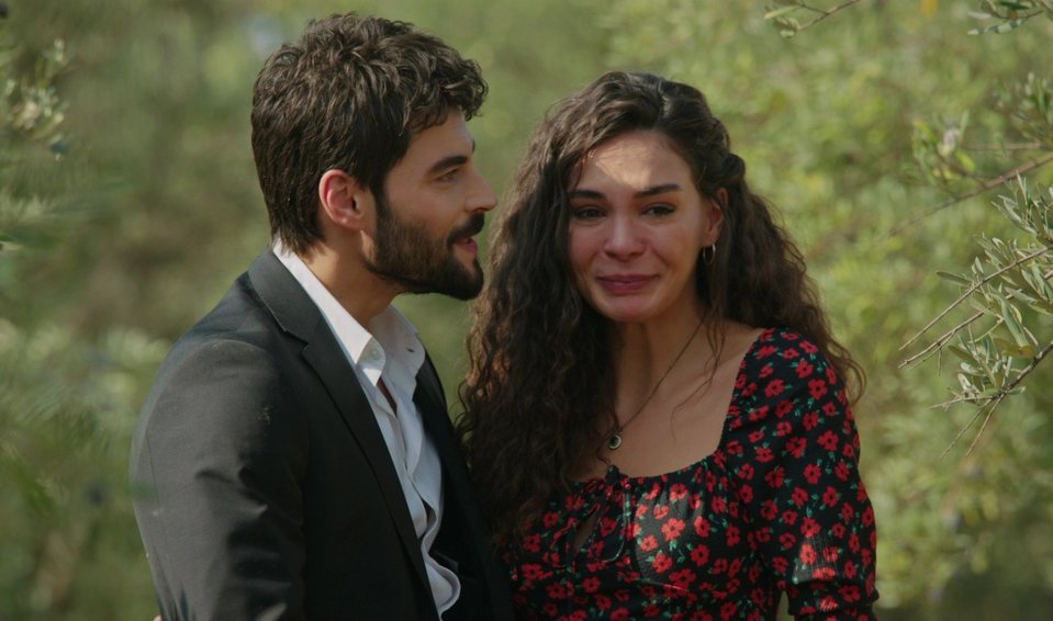 hercai