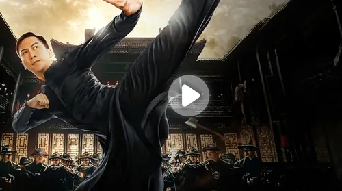 Ip Man: Kung Fu Ustası