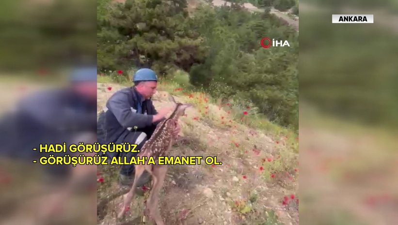 gun-ortasi-bulteni