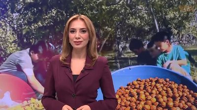 atv Gün Ortası