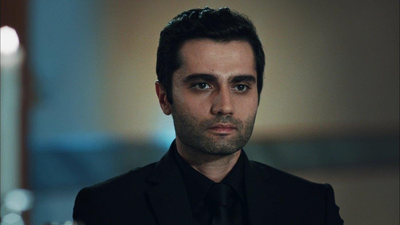 Alpaslan'ın yükselişi