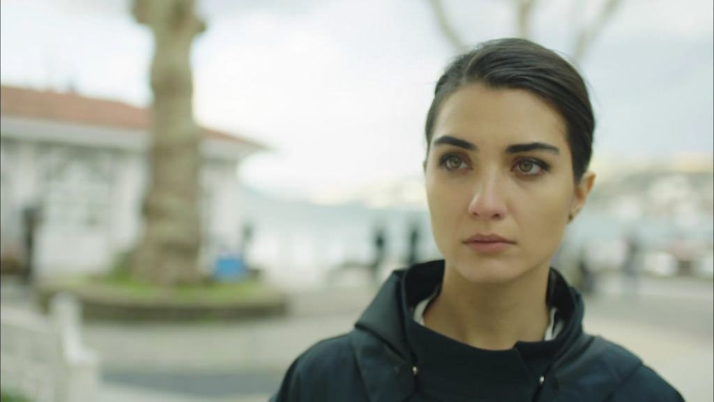 Bugüne kadar neler oldu?