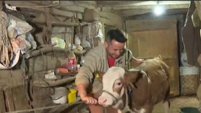 Üniversite mezunu çobanın hikayesi