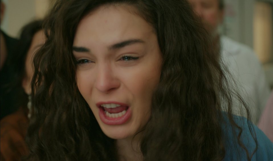 hercai