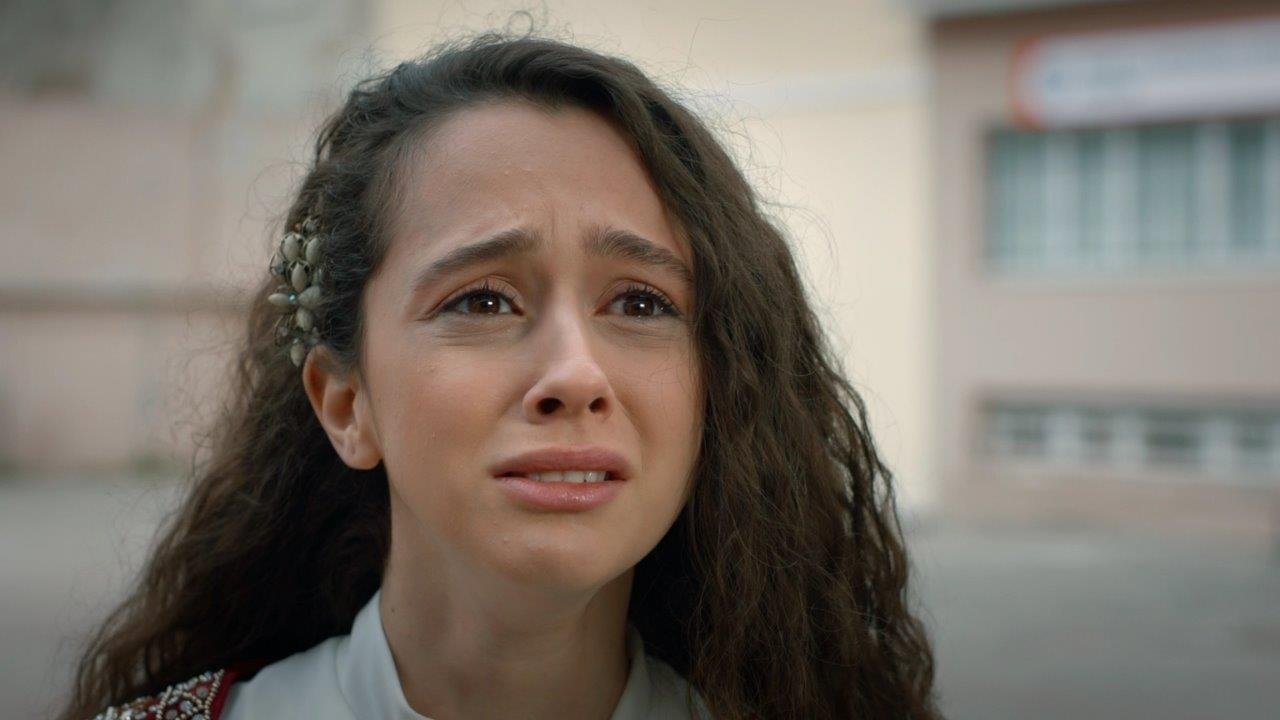 Saroydagi sevgi Saroydagi sevgi