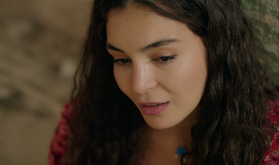 hercai