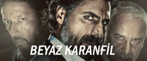 beyaz karanfi̇l
