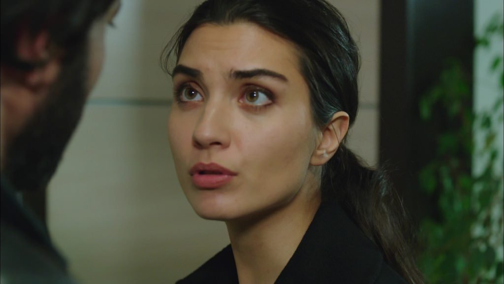 Bugüne kadar neler oldu?