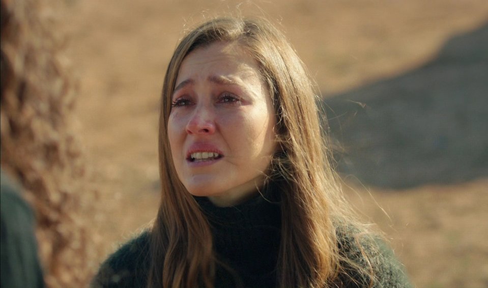 hercai