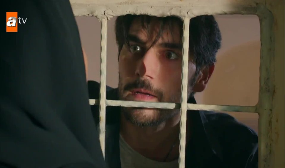 hercai