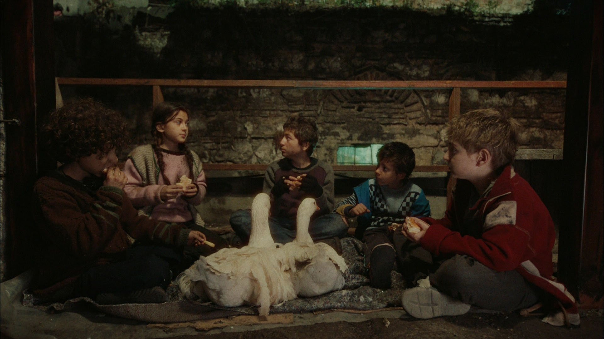 "Ateş Kuşları" rekorla başladı!