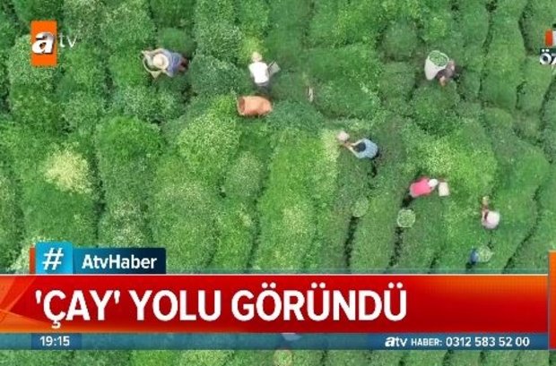 'Çay' göçü başlıyor!