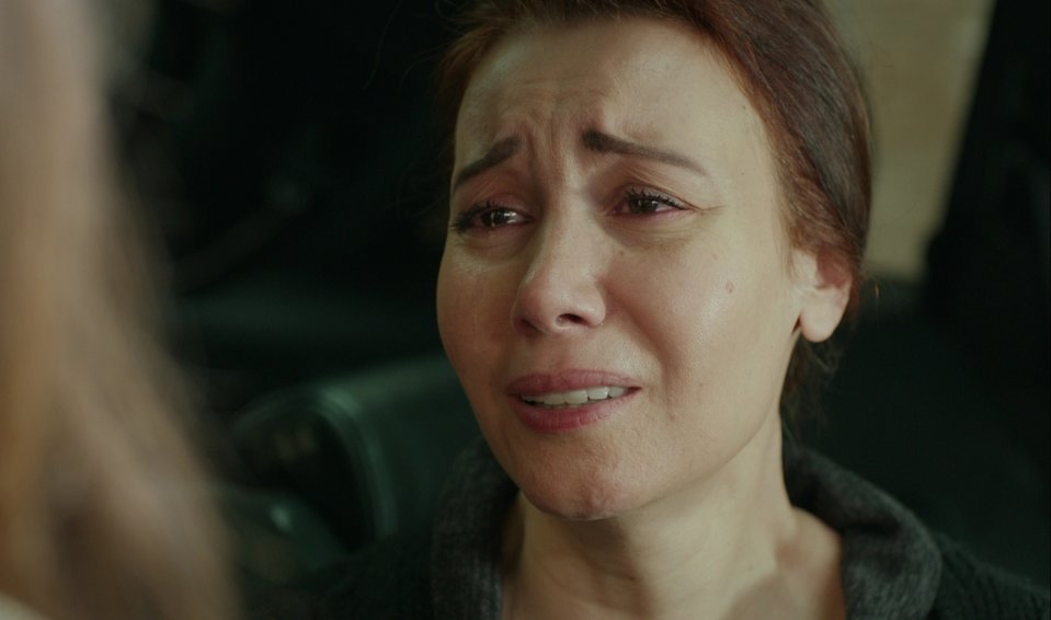 hercai