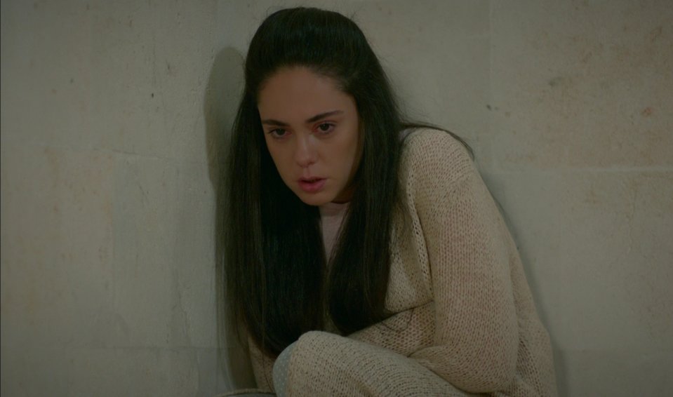 hercai