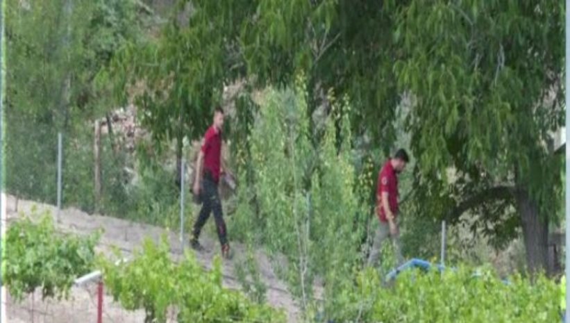 muge-anli-ile-tatli-sert